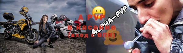 ГАЛЛЮЦИНОГЕННЫЕ ГРИБЫ Новозыбков