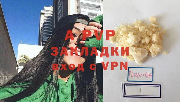 ГАЛЛЮЦИНОГЕННЫЕ ГРИБЫ Новозыбков