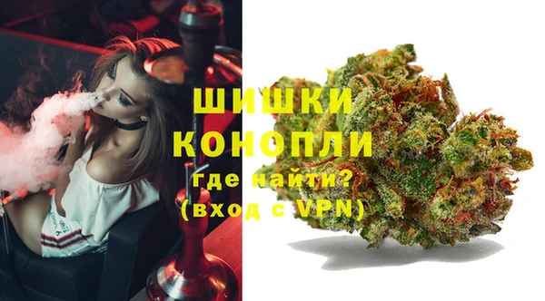 спайс Нея