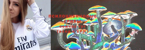 каннабис Новодвинск
