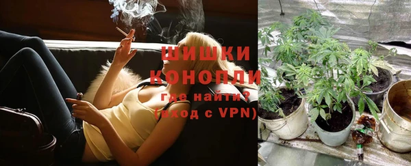 каннабис Новодвинск