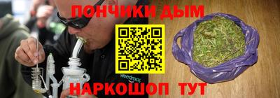 индика Абинск
