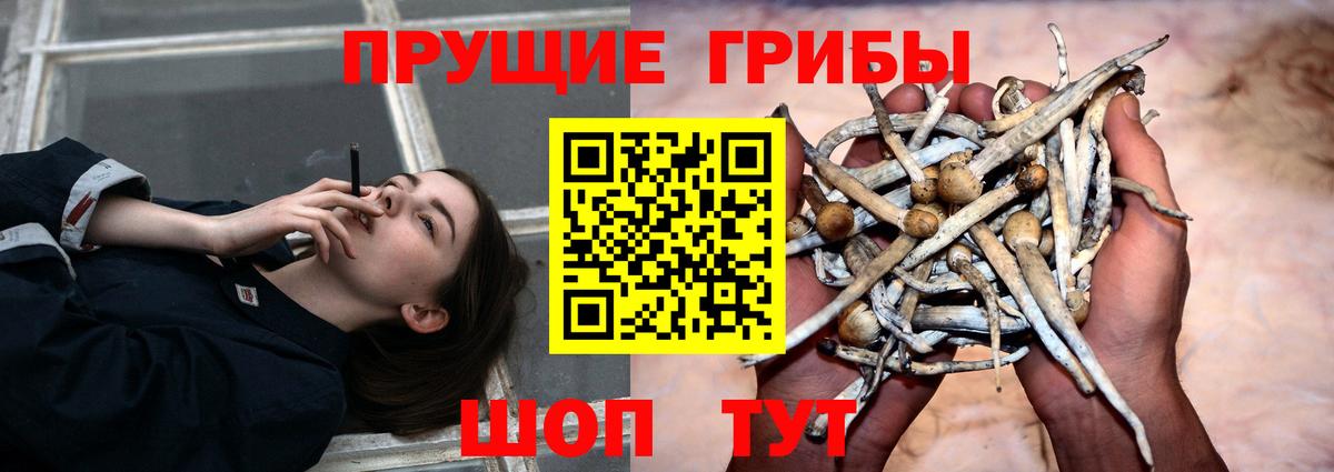 Галлюциногенные грибы MAGIC MUSHROOMS Минусинск