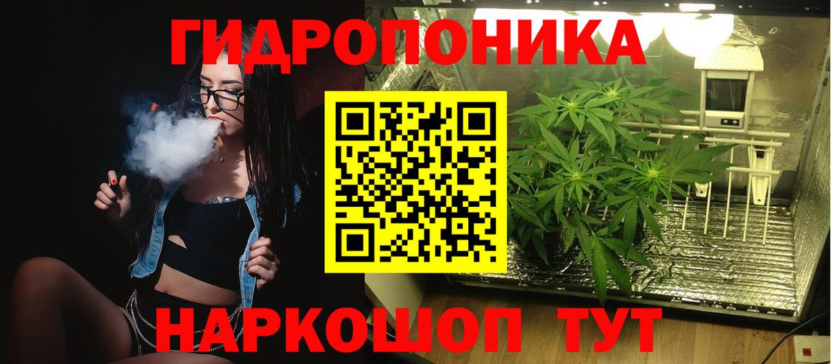Конопля OG Kush  Шишки марихуана OG Kush  Вход с VPN  Марихуана план  Марихуана OG Kush  Минусинск 